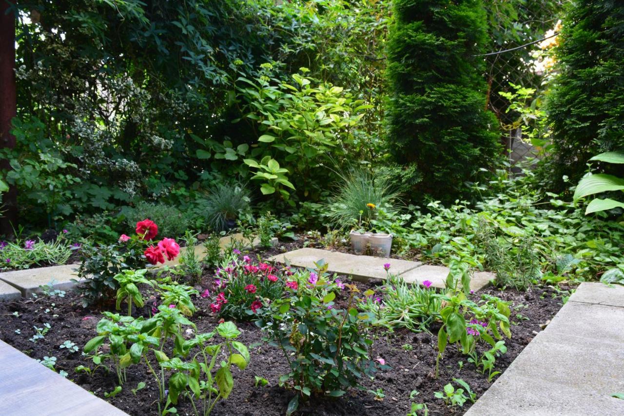 דירה Center With A Backyard